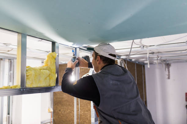 Best Insulation Repair Services  in Conway, PA