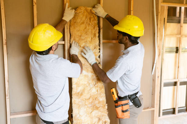 Best Insulation for New Construction  in Conway, PA
